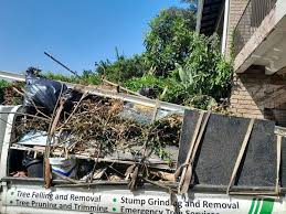 Best Hoarding Cleanup  in Reed Creek, GA